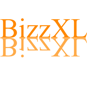 BIZZ XL programmamakers Studiekeuzecheck