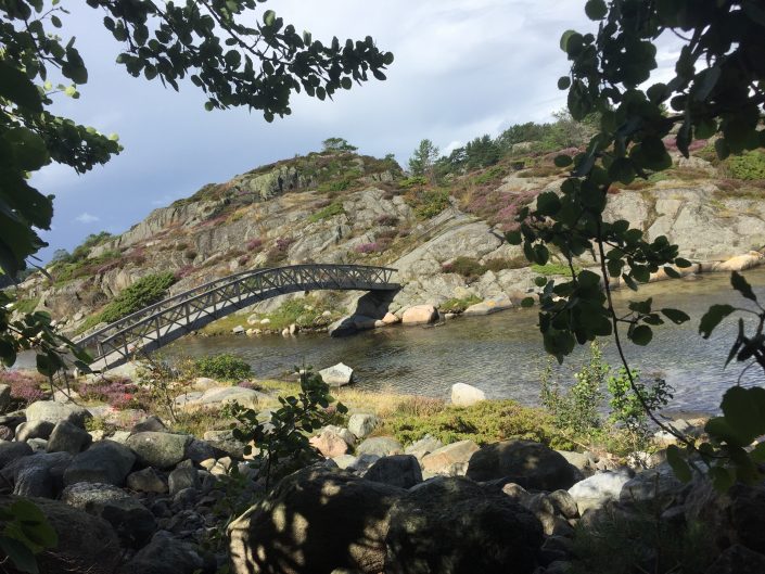 Uitzicht brug